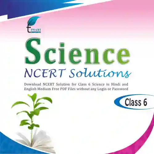 NCERT Science Book Class 6 Solutions Pdf Free Download